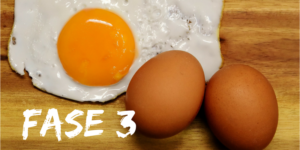 Fase-3-300x150 Fase-3-300x150
